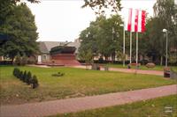 Overview
