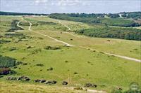 Line of target tanks at the end of Bindon Range, photo by C. Downer