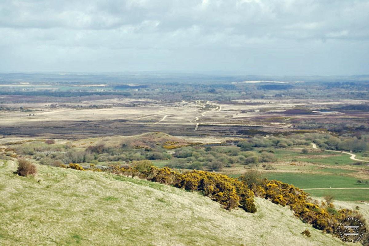 East Holme/Heath Range, photo by N. Chadwick
