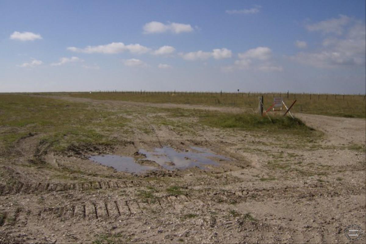 Summer Down, Imber Range, photo by Graham Horn