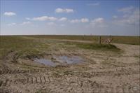 Summer Down, Imber Range, photo by Graham Horn