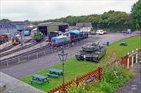 Downyard