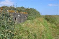 Pillbox near Saltfleetby St Clement, photo taken by Stephen Horncastle