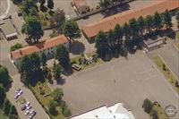 Bing Maps Bird
