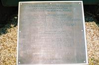 Plaque