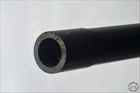 Close-up of muzzle