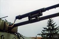 Close-up of saluting gun