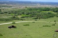 Overview, photo by S. Ballard