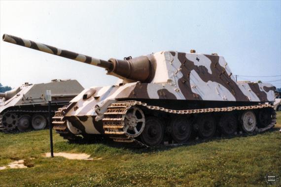 Sample Photo from Tank with UniqueID 223