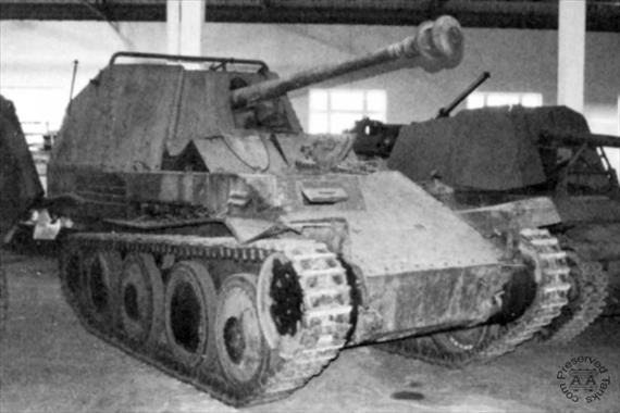 Sample Photo from Tank with UniqueID 233