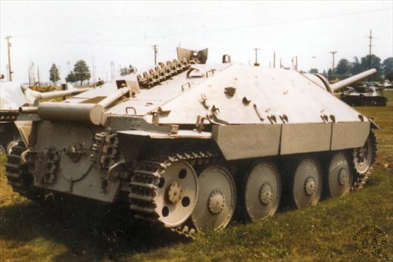Sample Photo from Tank with UniqueID 246