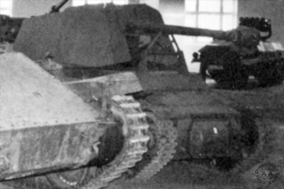 Sample Photo from Tank with UniqueID 278