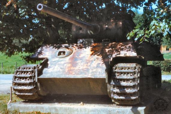 Sample Photo from Tank with UniqueID 51