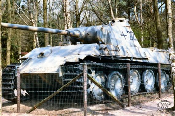 Sample Photo from Tank with UniqueID 53