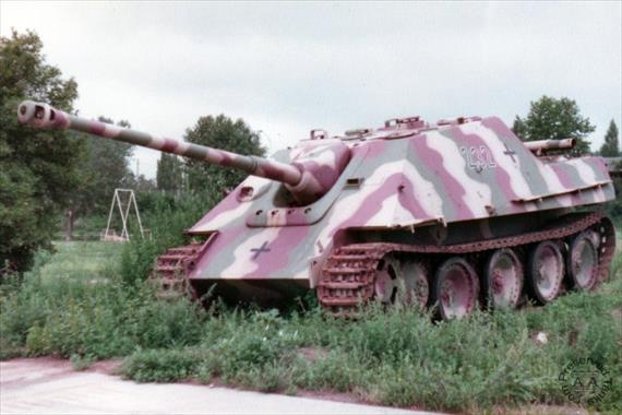 Sample Photo from Tank with UniqueID 60