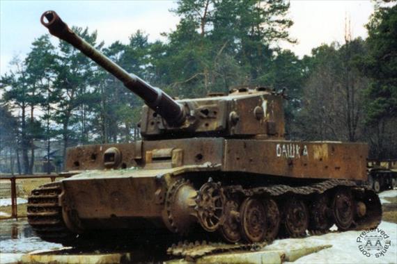 Sample Photo from Tank with UniqueID 80