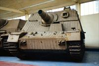 Sample Photo from tank with Unique ID 1007