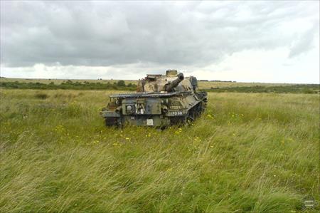 Sample Photo from Tank with UniqueID 1054