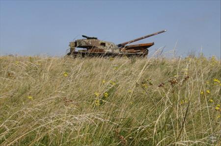 Sample Photo from Tank with UniqueID 1057