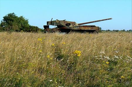 Sample Photo from Tank with UniqueID 1061