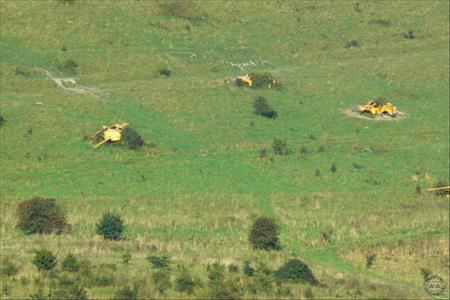 Sample Photo from Tank with UniqueID 1063