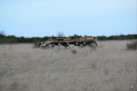 Sample Photo from Tank with UniqueID 1064