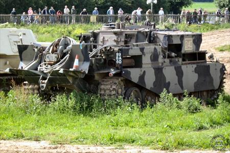 Sample Photo from Tank with UniqueID 1119