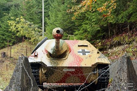 Sample Photo from Tank with UniqueID 1251