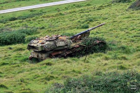 Sample Photo from Tank with UniqueID 1607