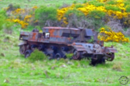 Sample Photo from Tank with UniqueID 1627