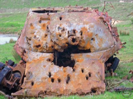 Sample Photo from Tank with UniqueID 1636