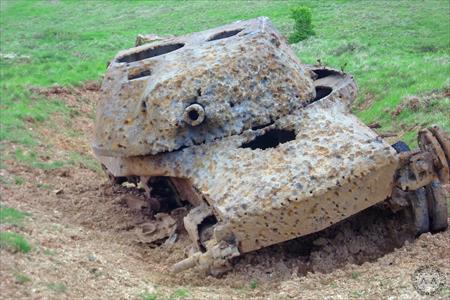 Sample Photo from Tank with UniqueID 1638