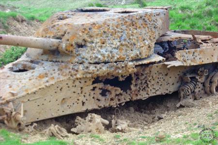 Sample Photo from Tank with UniqueID 1639