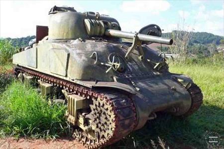 Sample Photo from Tank with UniqueID 1811