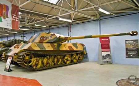 Sample Photo from Tank with UniqueID 214