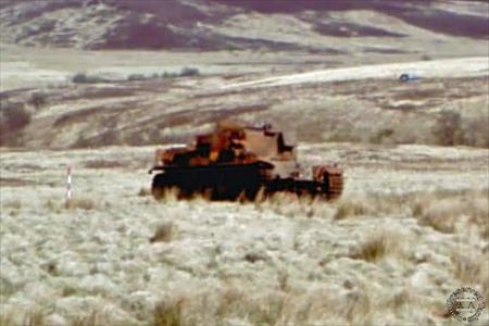 Sample Photo from Tank with UniqueID 2151