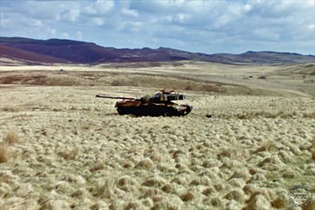 Sample Photo from Tank with UniqueID 2153