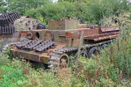 Sample Photo from Tank with UniqueID 2310