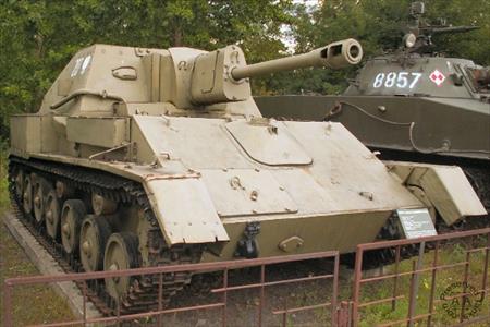 Sample Photo from Tank with UniqueID 377