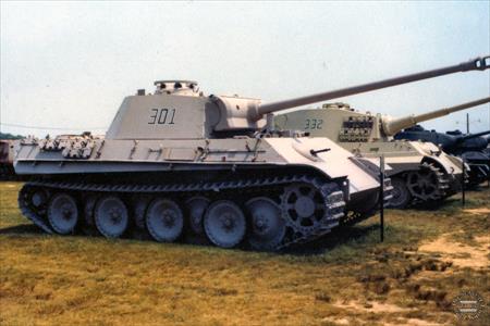 Sample Photo from Tank with UniqueID 54