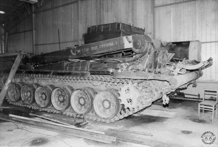 Sample Photo from Tank with UniqueID 593
