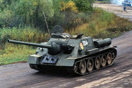 Sample Photo from Tank with UniqueID 598