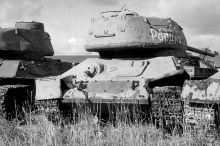 Sample Photo from Tank with UniqueID 634