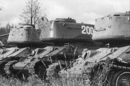 Sample Photo from Tank with UniqueID 650