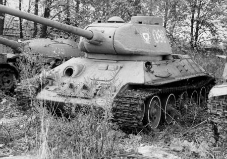 Sample Photo from Tank with UniqueID 654