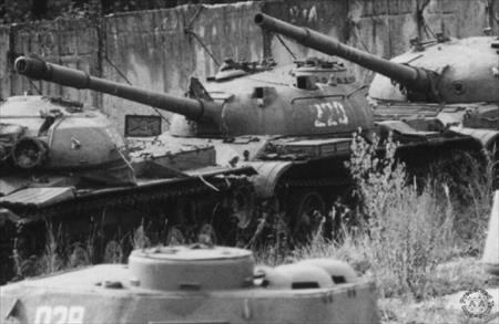 Sample Photo from Tank with UniqueID 659