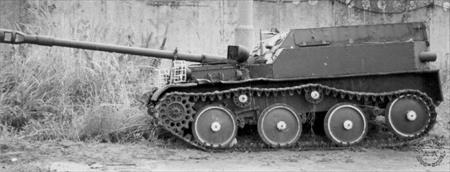 Sample Photo from Tank with UniqueID 664