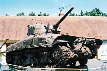 Sample Photo from Tank with UniqueID 987