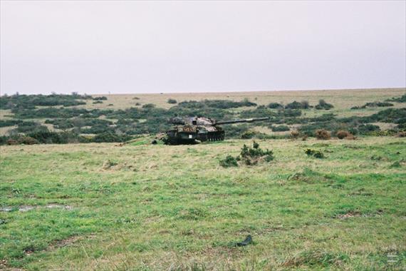 Sample Photo from Tank with UniqueID 1060