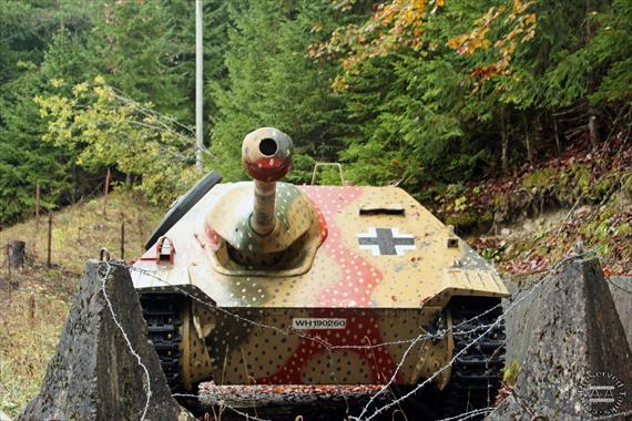 Sample Photo from Tank with UniqueID 1251